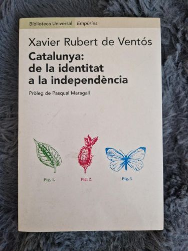 Portada del libro de Catalunya: de la identitat a la independència