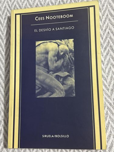 Portada del libro de El desvío a Santiago