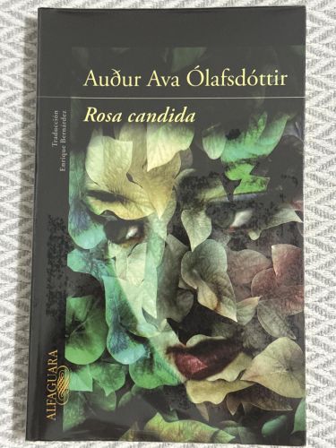 Portada del libro de Rosa candida