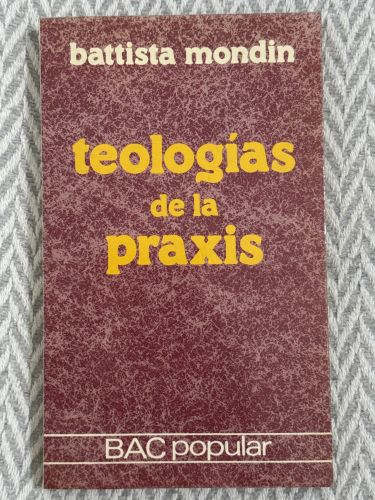 Portada del libro de Teología de la praxis
