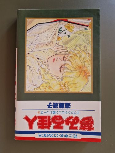 Portada del libro de Una hermosa persona que sueña. Princesa Evangelina 3