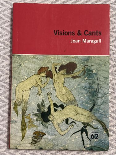 Portada del libro de Visions & Cants