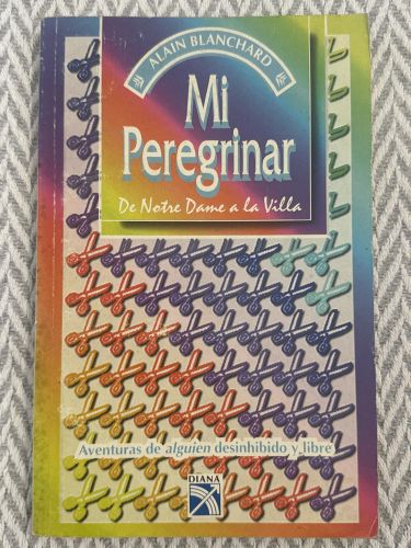 Mi peregrinar de Notre Dame a la Villa