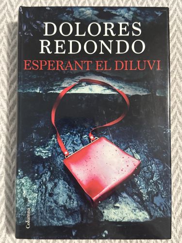 Esperant el diluvi