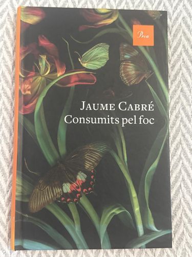 Portada del libro de Consumits pel foc