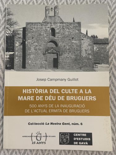 Història del culte a la Mare de Déu de Bruguers