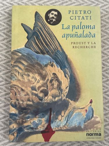 La paloma apuñalada. Proust y la recherche